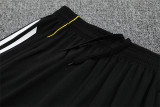 Real Madrid  Training  Fans kits  1:1 Quality Soccer Jersey 25-26 (Kids And Man )