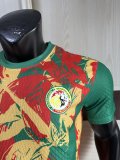 Senegal Special Edition player   1:1 Quality Soccer Jersey   25-26
