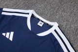 Adidas Clover Sets  Blue 1:1 Quality Soccer Jersey  25-26