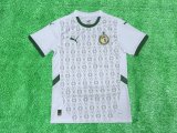 Senegal home Fans  1:1 Quality Soccer Jersey  24-25