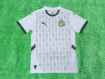 Senegal home Fans  1:1 Quality Soccer Jersey  24-25