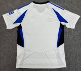 Hamburger SV home fans 1:1 Quality Soccer Jersey  24-25