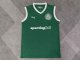 Palmeiras home vest fans 1:1 Quality Soccer Jersey  25-26