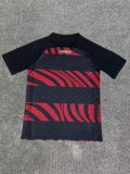 Flamengo Special Edition  Fans 1:1 Quality Soccer Jersey   25-26
