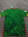 Cameroon Third  Away fans 1:1 Quality Soccer Jersey  25-26