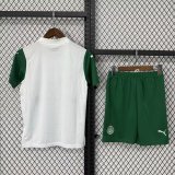 Palmeiras Away With Pants Sets  fans 1:1 Quality Soccer Jersey   25-26