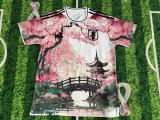 Japan Anime Bridge Special Edition Fans 1:1 Quality Soccer Jersey  25-26