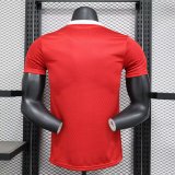 Manchester United Special Edition  Player  1:1 Quality Soccer Jersey    24-25