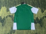 Italy Training  Special Edition Fans 1:1 Quality Soccer Jersey  26-27（2026）