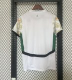 Ivory Coast away fans 1:1 Quality Soccer Jersey   24-25