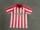 Sunderland home fans 1:1 Quality Soccer Jersey  24-25