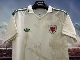 Wales  Away Fans 1:1 Quality Soccer Jersey  26-27 (2026)