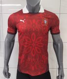 Portugal Special Edition fans 1:1 Quality Soccer Jersey  25-26