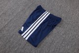 Adidas Clover Sets  Blue 1:1 Quality Soccer Jersey  25-26