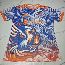 Liverpool Special Edition Fans  1:1 Quality Soccer Jersey   25-26
