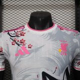Japan Special Edition  Player 1:1 Quality Soccer Jersey  25-26