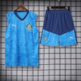 Palmeiras Training clothing Vest  set  1:1 Quality Soccer Jersey    24-25