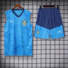 Palmeiras Training clothing Vest  set  1:1 Quality Soccer Jersey    24-25