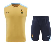 France Training clothing Vest  set  1:1 Quality Soccer Jersey    24-25