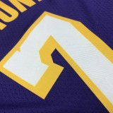 Los Angeles Lakers Purple #7 ANTHONY 1:1 Quality NBA Season Jerseys