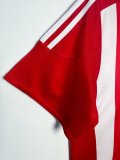 Retro Southampton home Fans 1:1 Quality Soccer Jersey  2015-2016