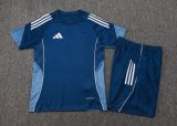 Adidas Clover Sets  Blue 1:1 Quality Soccer Jersey  25-26