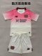 Bayer Leverkusen Away  Fans 1:1 Quality Soccer Jersey   25-26 (kids and man )