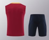 Barcelona Training clothing Vest set 1:1 Quality Soccer Jersey    24-25