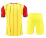 Liverpool Training clothing set  1:1 Quality Soccer Jersey   24-25