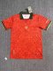 Portugal Special Edition  Fans 1:1 Quality Soccer Jersey  24-25