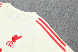 Liverpool  Training  Yollow Fans Kits  1:1 Quality Soccer Jersey 25-26 (Kids And Man )