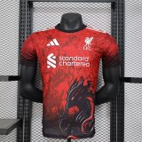 Liverpool  Special  Edition  Player  1:1 Quality Soccer Jersey   24-25