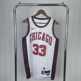 Chicago Bulls City Edition  White  #33 PIPPEN 1:1 Quality NBA  Season Jerseys  2023