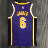 Los Angeles Lakers 75 Year Pruple #6 JAMES 1:1 Quality NBA Season Jerseys