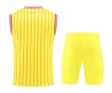 Liverpool Training clothing Vest  set  1:1 Quality Soccer Jersey    24-25