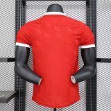 Arsenal  Special Edition  player  1:1 Quality Soccer Jersey    24-25