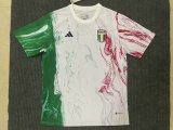 Italy Special Edition Fans 1:1 Quality Soccer Jersey  24-25