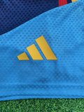 Spain Training Special Edition With Pants Sets Player 1:1 Quality Soccer Jersey 26-27（2026）
