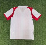 Southampton Home Fans (whitout LOGO) 1:1 Quality Soccer Jersey   25-26