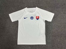 Slovakia away Fans  1:1 Quality Soccer Jersey   24-25