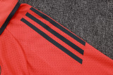 Bayern Munich Polo Fans  Red 1:1 Quality Soccer Jersey  25-26