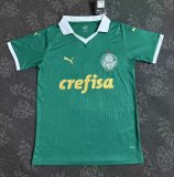 Palmeiras home fans 1:1   24-25
