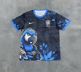 Brazil Special Edition Fans 1:1 Quality Soccer Jersey 25-26