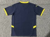 Fenerbahce  Special Edition  Fans  1:1 Quality Soccer Jersey  24-25