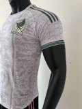 Mexico Special Edition Player 1:1 Quality Soccer Jersey   25-26