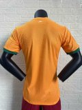 Ivory Coast home player 1:1 Quality Soccer Jersey   24-25