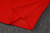 Liverpool Polo Fans  Red 1:1 Quality Soccer Jersey  25-26