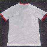 Benfica  Anniversary Edition  Fans 1:1 Quality Soccer Jersey 25-26