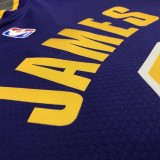Los Angeles Lakers purple 6 James  V-neck   NBA Jerseys
