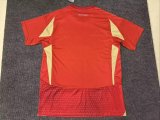 Shabab AlAhli Club Dubai Home  Fans 1:1 Quality Soccer Jersey    24-25